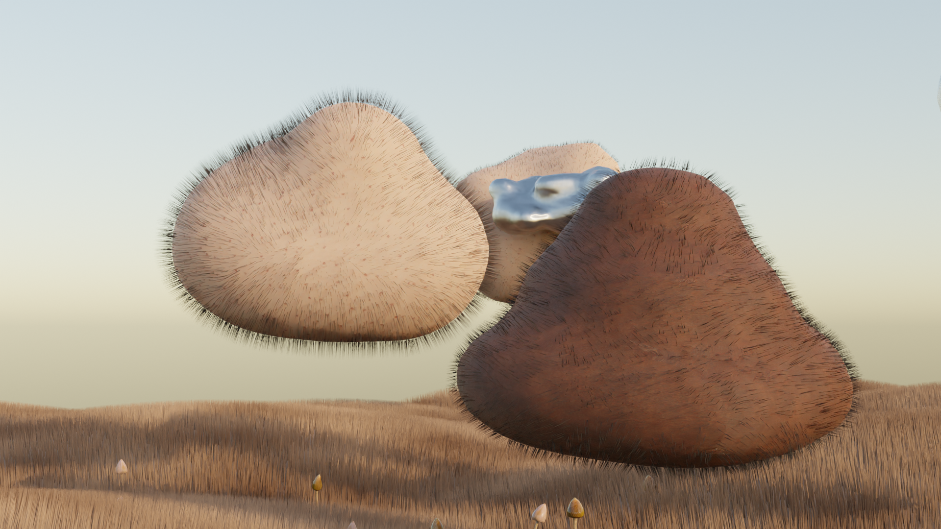 Fluid Bodies